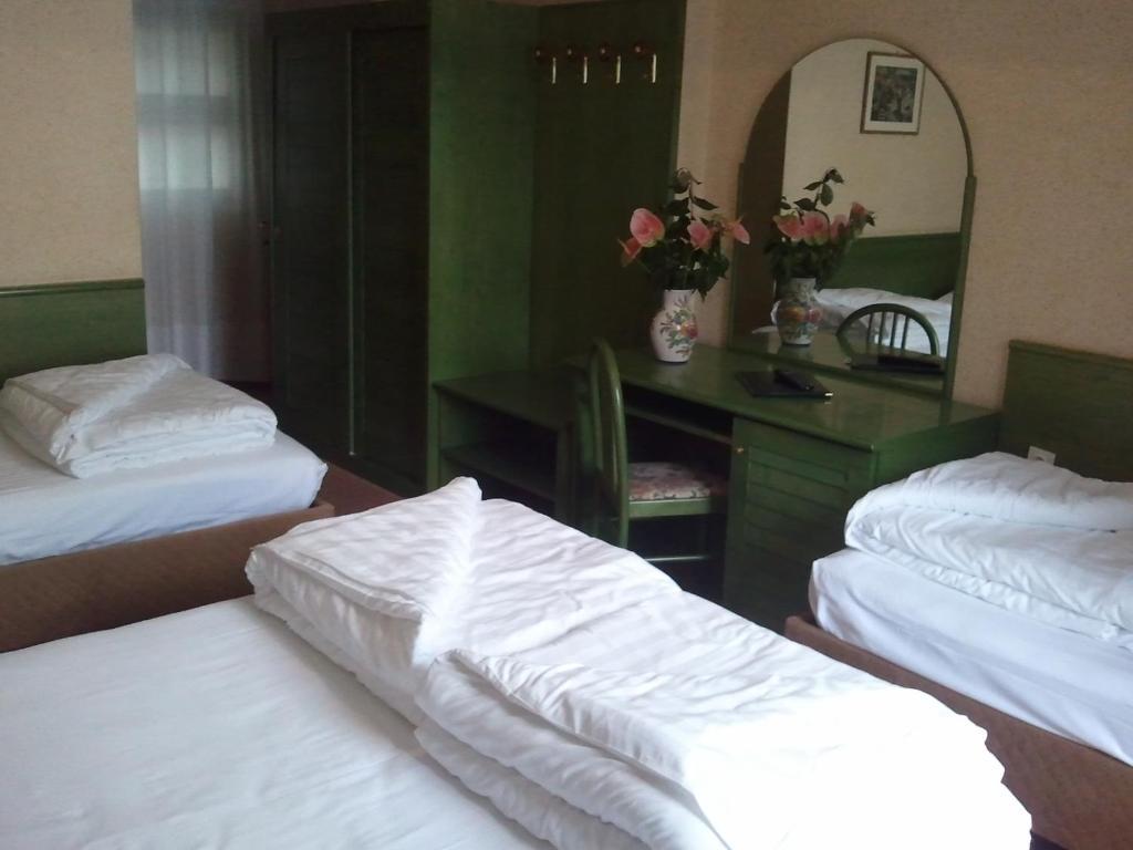 Hotel Caribe - Garda Lake Collection 布雷佐内加尔达 客房 照片